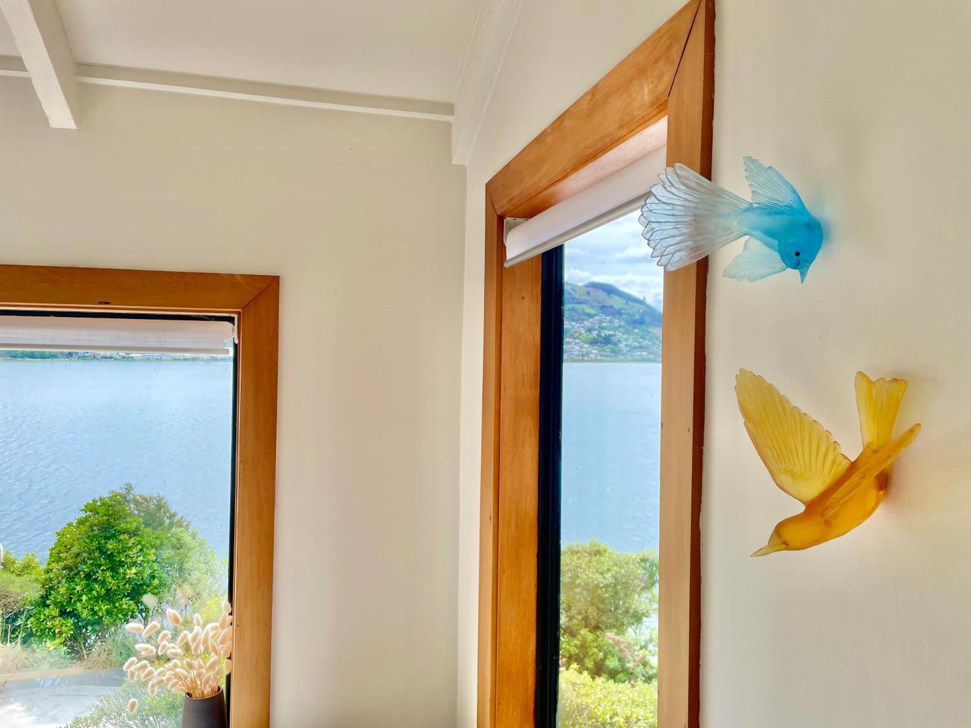 The Cove Cabin - Your Quiet Escape Dunedin Extérieur photo