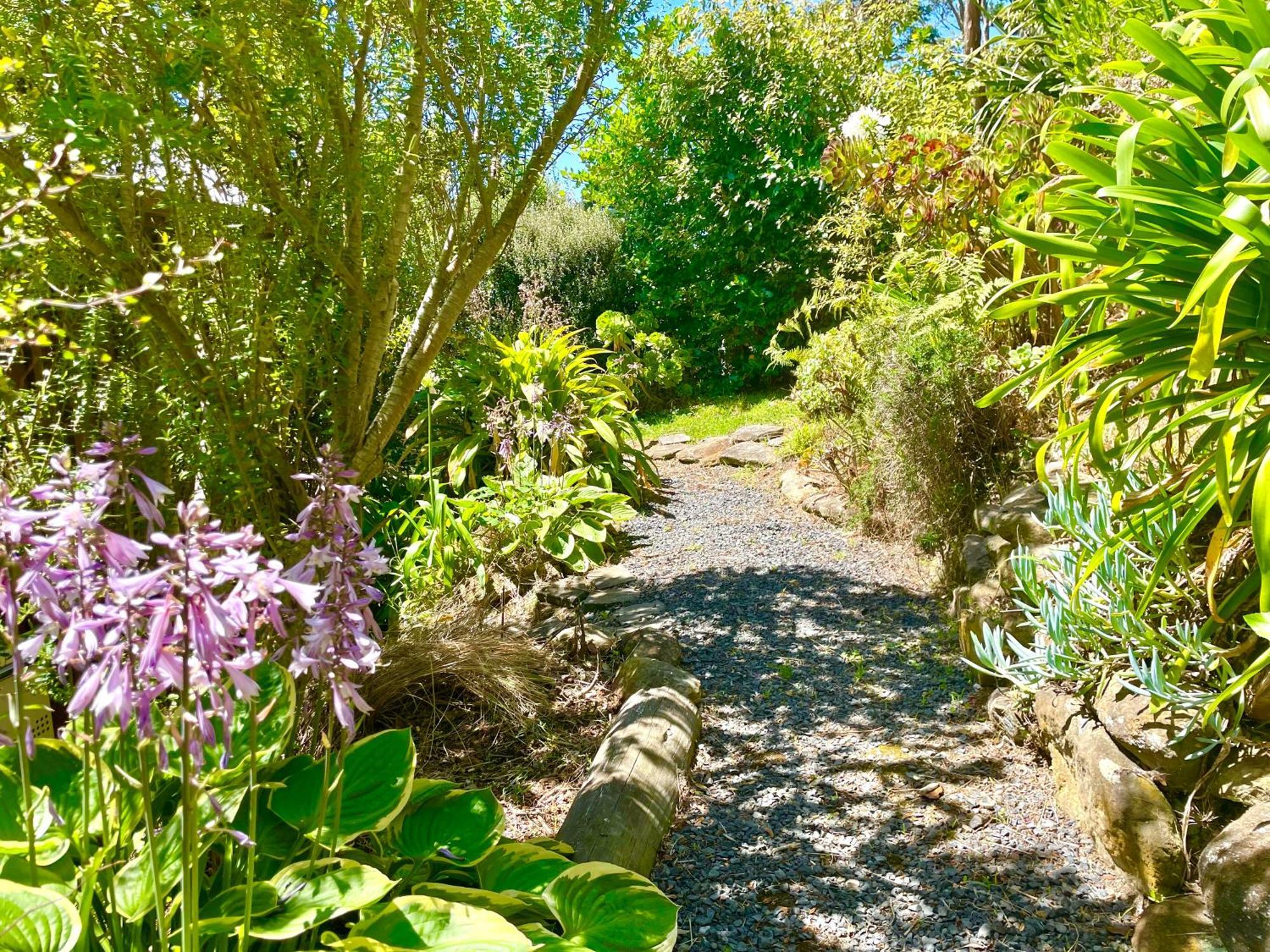 The Cove Cabin - Your Quiet Escape Dunedin Extérieur photo