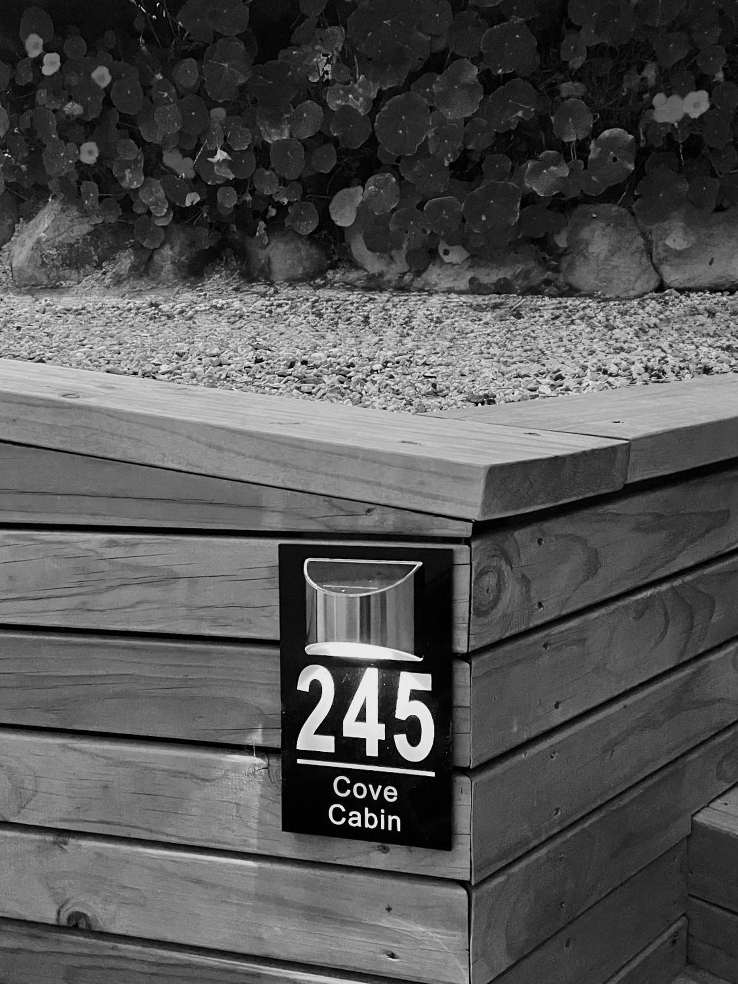The Cove Cabin - Your Quiet Escape Dunedin Extérieur photo